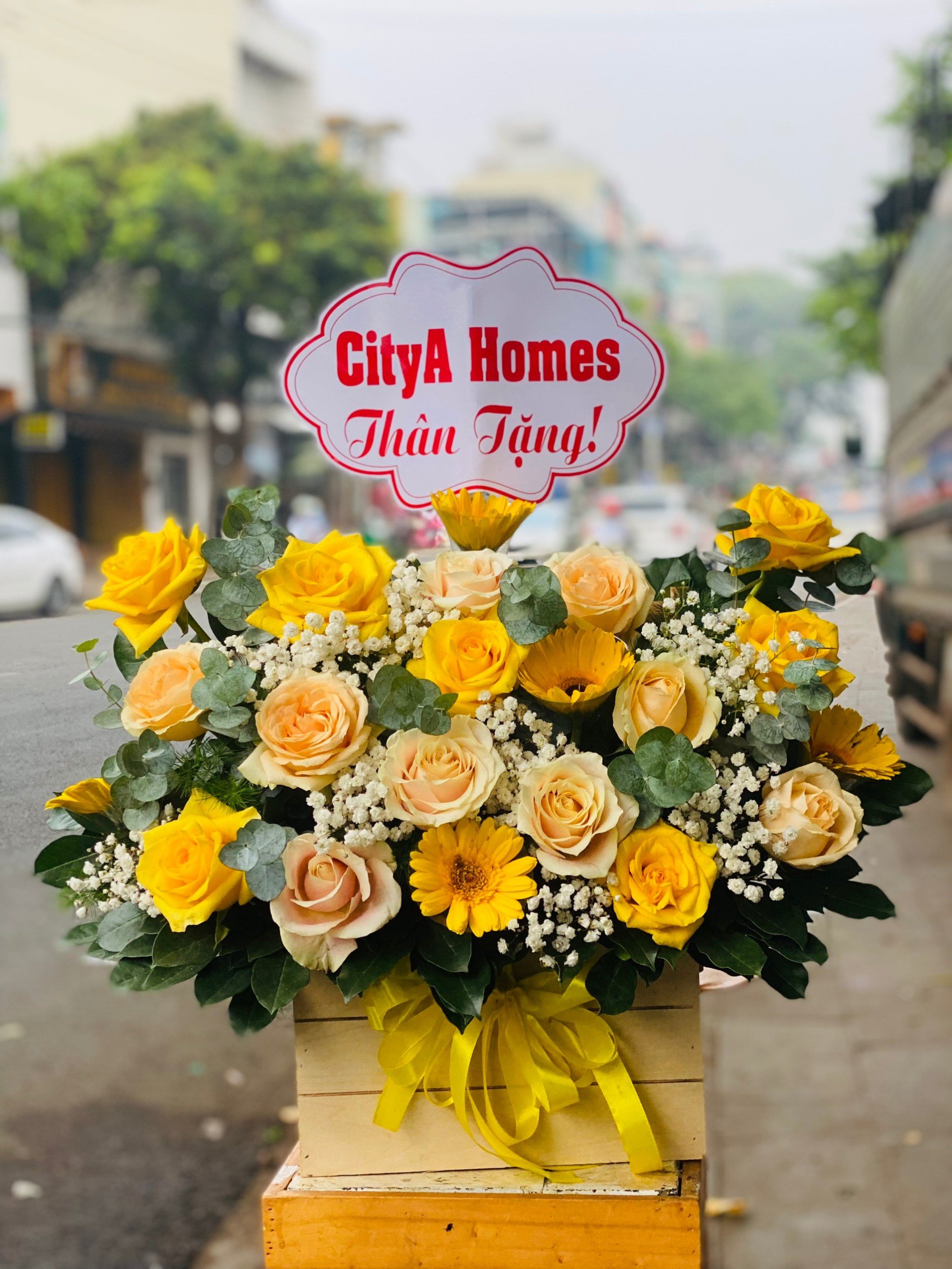 Mẫu bó hoa sinh nhật tại 	Phường 3	Quận 8	Hồ Chí Minh